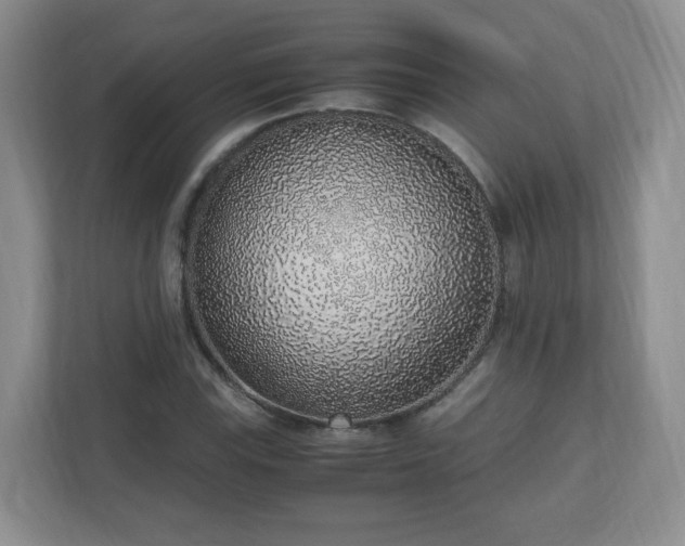 X0000110911115200906251352