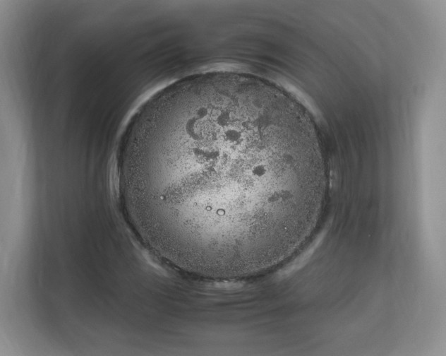 X0000110911117200906251352