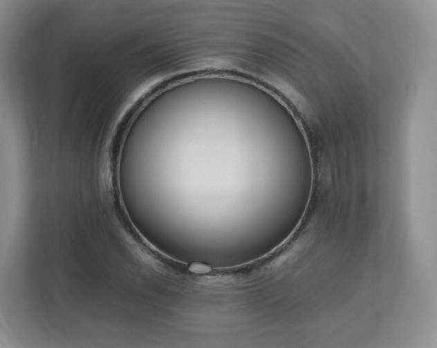 X0000110911118200906251352