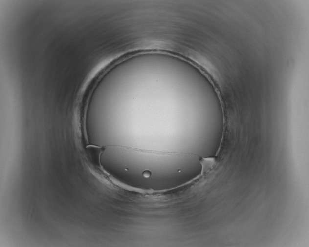 X0000110911120200906251352