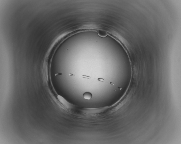 X0000110911123200906251352