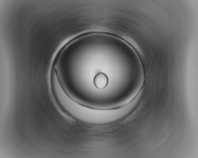 X0000110911128200906251352