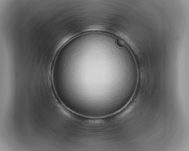 X0000110911129200906251352