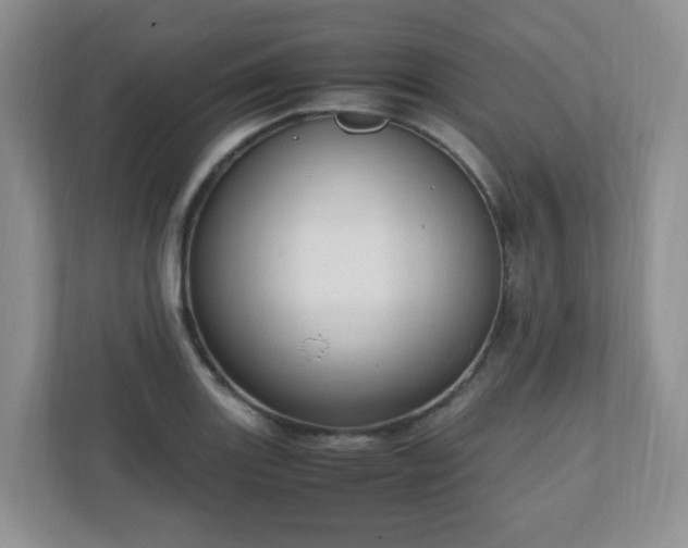 X0000110911131200906251352