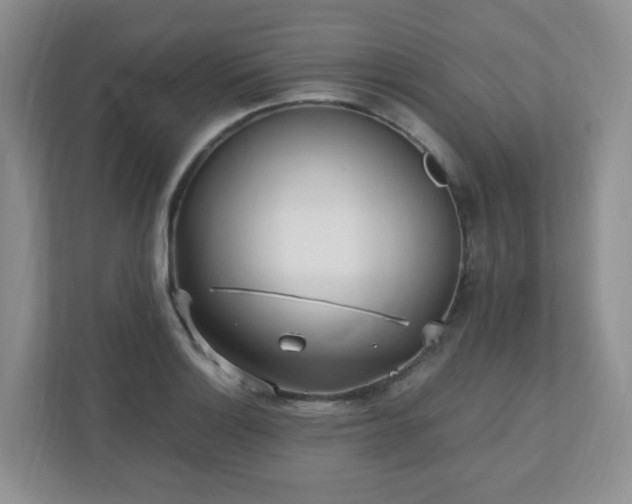 X0000110911132200906251352