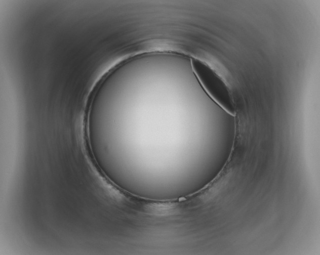 X0000110911134200906251352