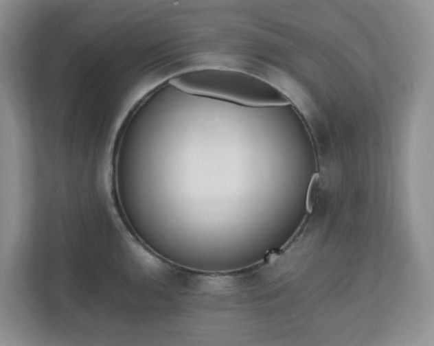 X0000110911136200906251352