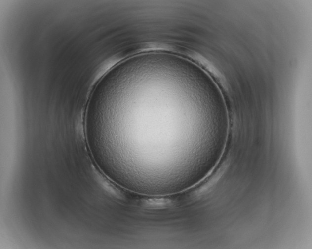 X0000110911137200906251352