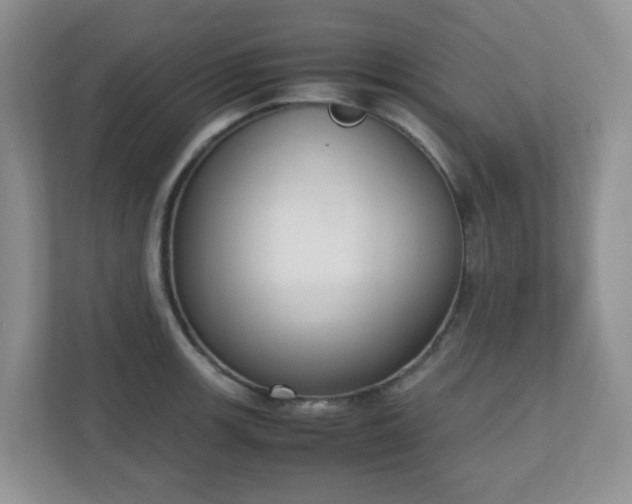 X0000110911139200906251352