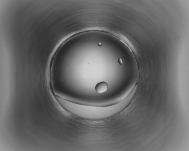 X0000110911140200906251352