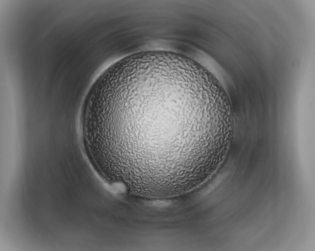 X0000110911141200906251352