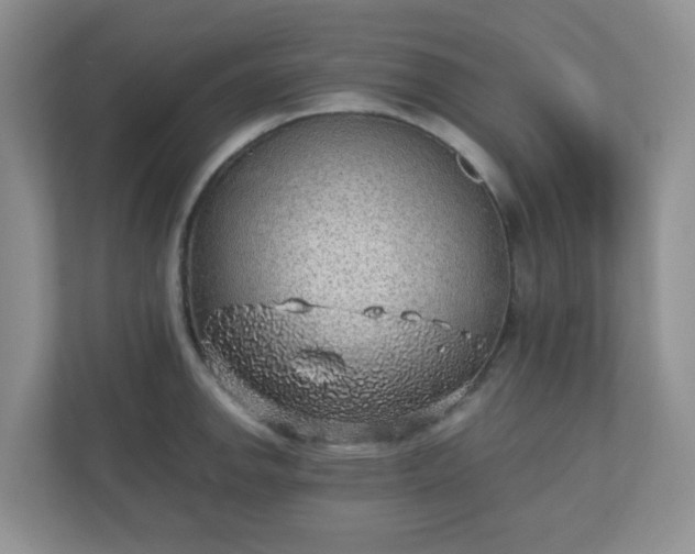 X0000110911142200906251352