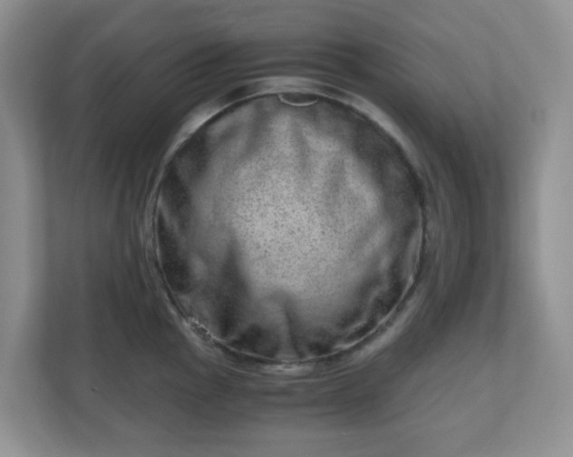 X0000110911145200906251352