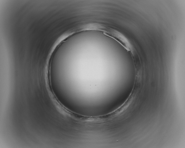 X0000110911146200906251352