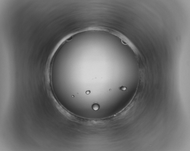 X0000110911148200906251352