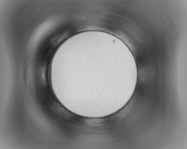 X0000110911150200906251352