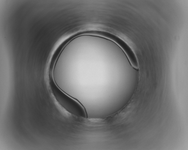 X0000110911152200906251352