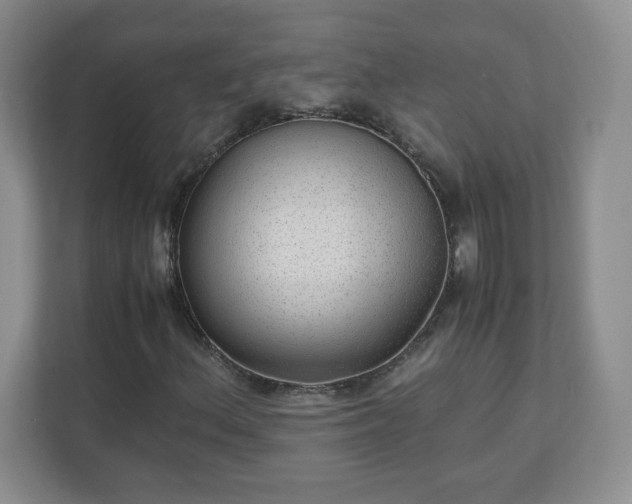 X0000110911156200906251352