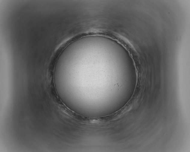 X0000110911160200906251352