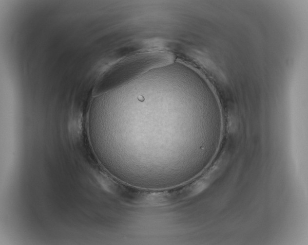 X0000110911161200906251352