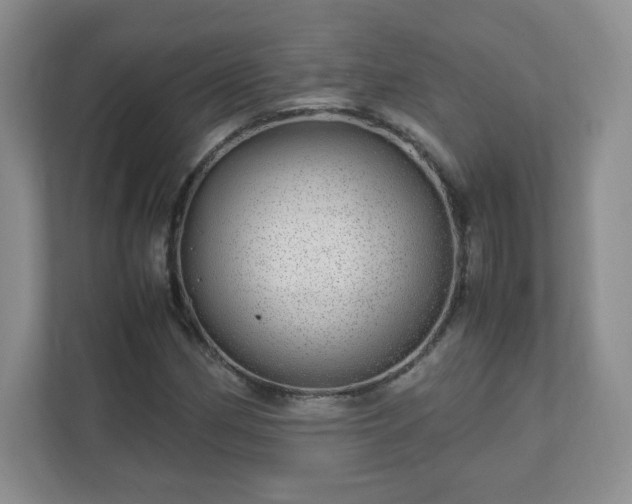 X0000110911162200906251352