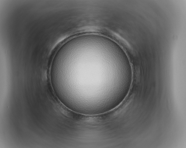 X0000110911166200906251352