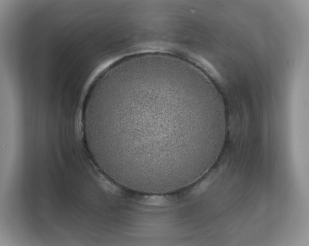 X0000110911172200906251351