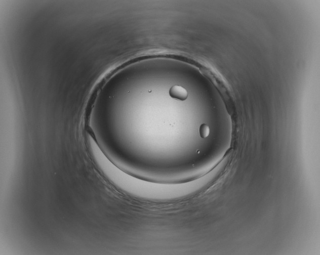 X0000110911173200906251351