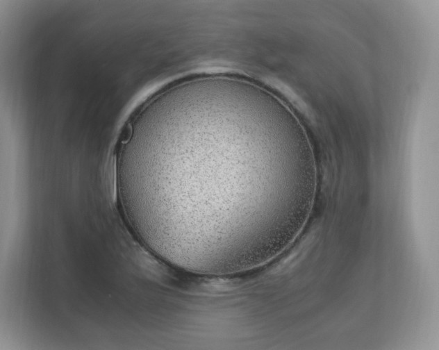 X0000110911175200906251351