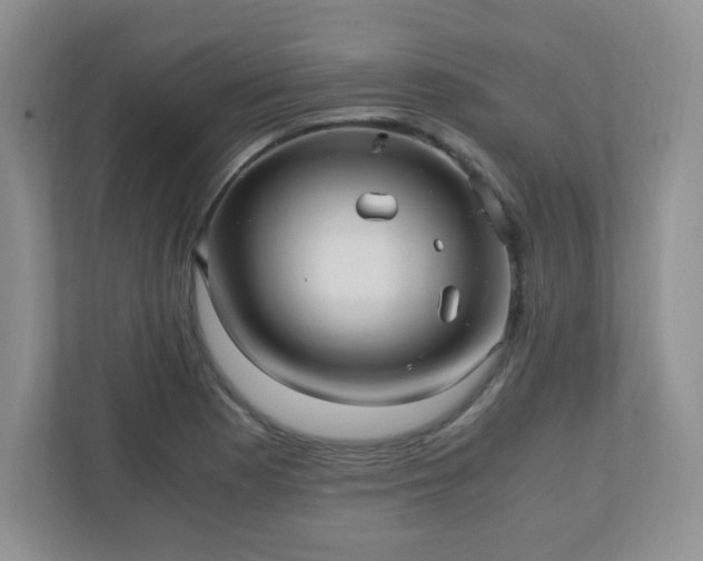 X0000110911177200906251351