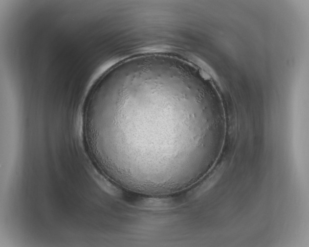 X0000110911179200906251351