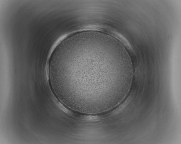 X0000110911180200906251351