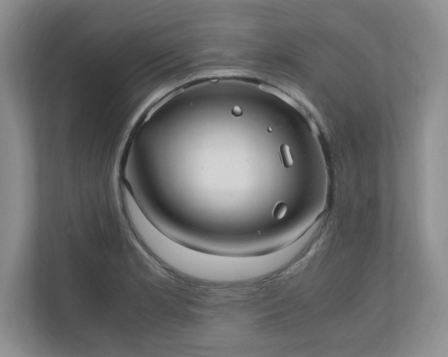 X0000110911181200906251351