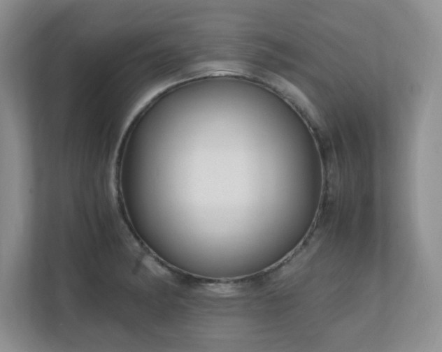 X0000110911182200906251351