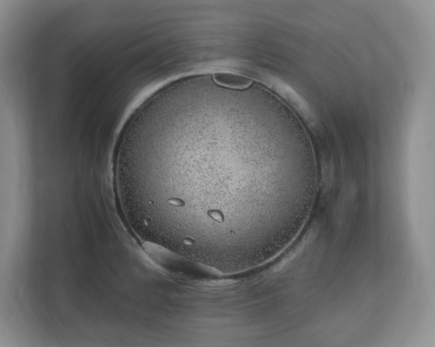 X0000110911184200906251351