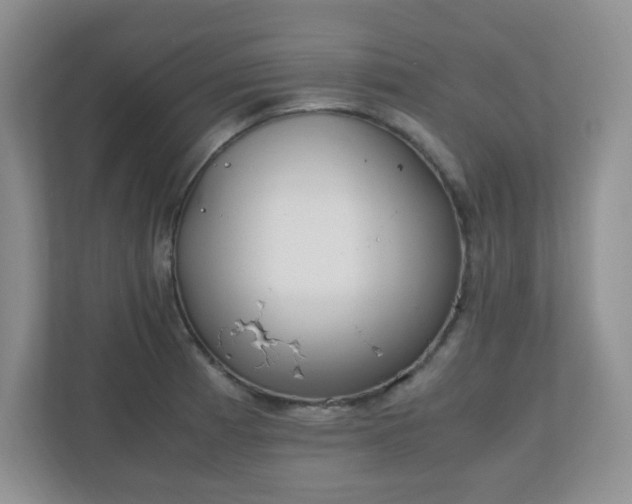 X0000110911185200906251351