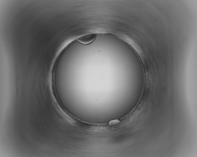 X0000110911187200906251351