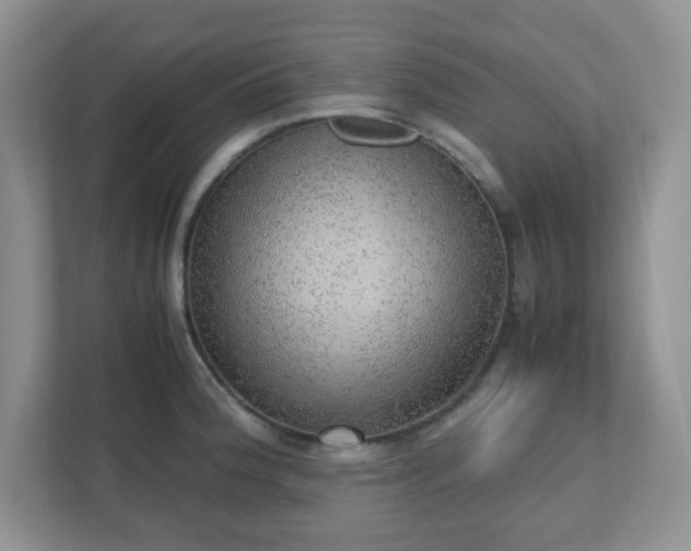 X0000110911188200906251351