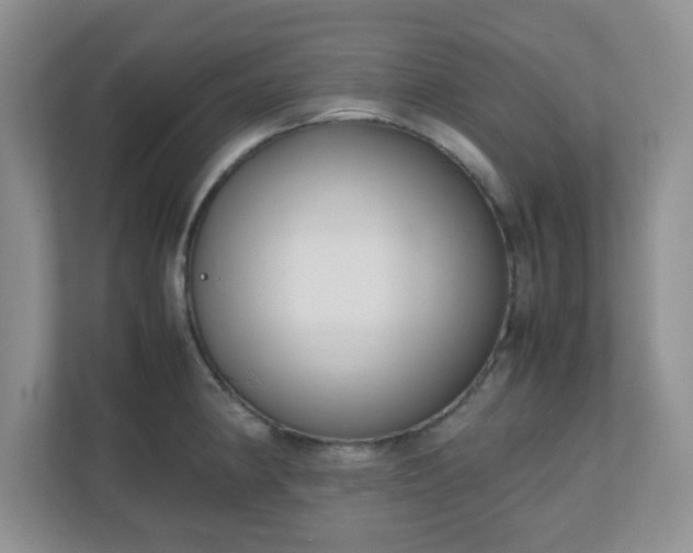 X0000110911190200906251351