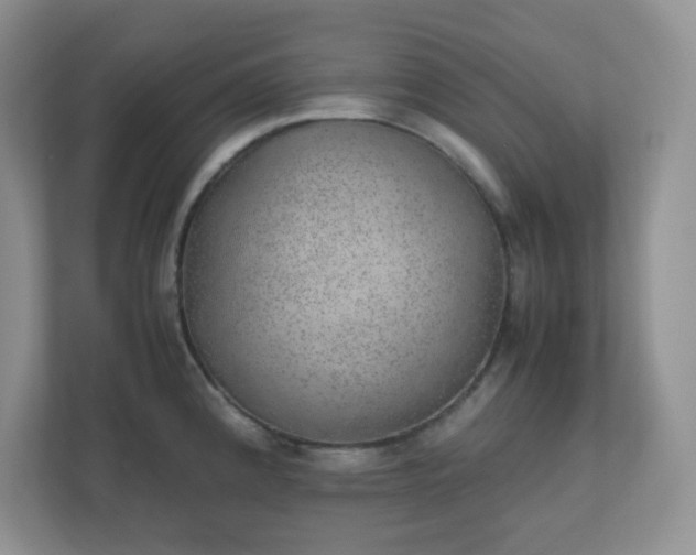 X0000110911192200906251351