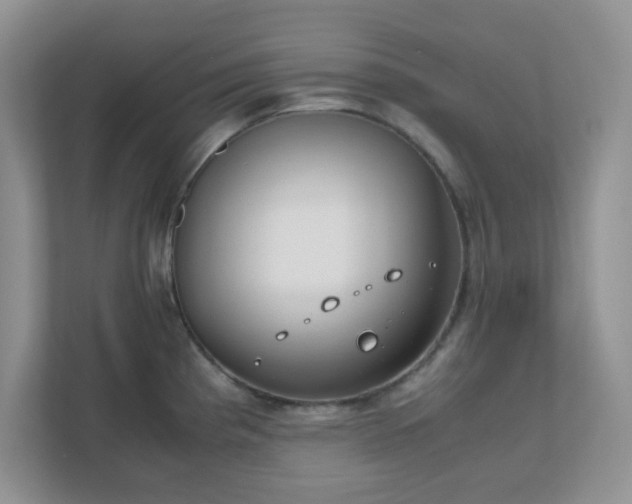 X0000110911193200906251351