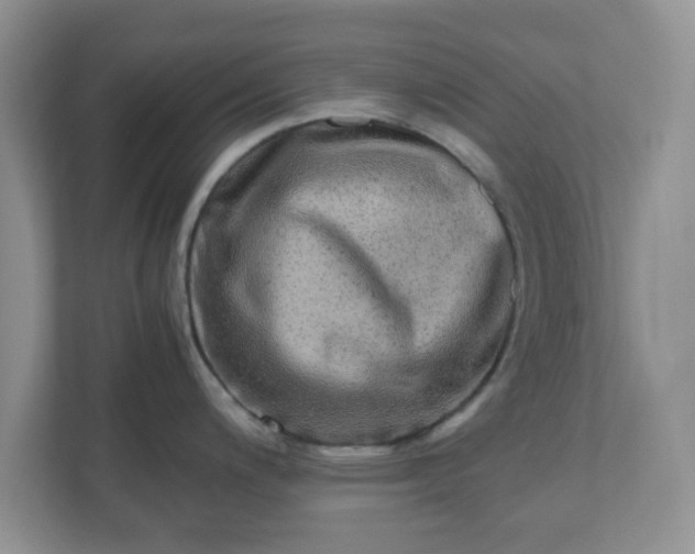 X0000110911200200906251351