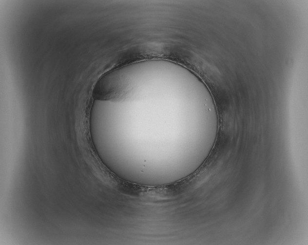 X0000110911201200906251350