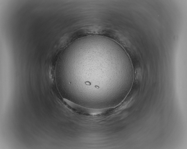 X0000110911202200906251350