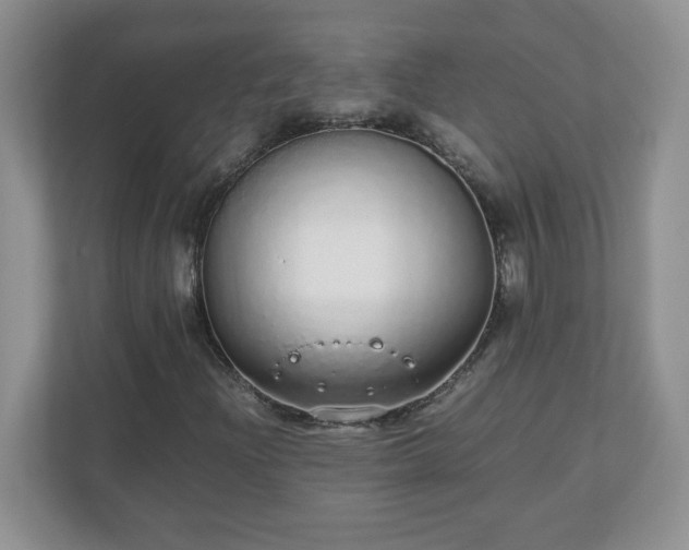 X0000110911204200906251351