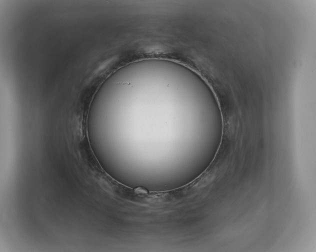 X0000110911205200906251351