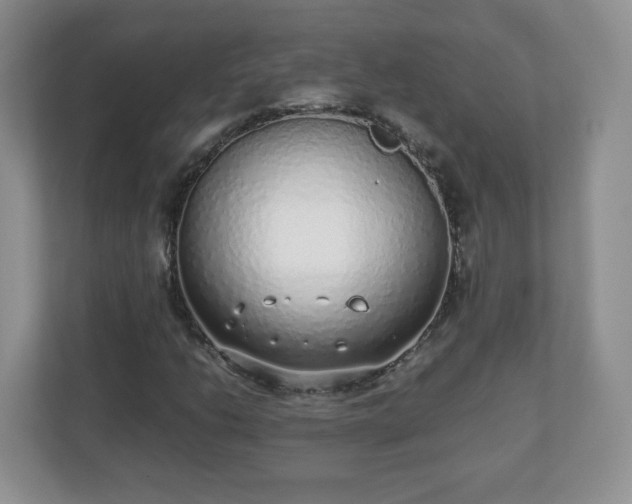 X0000110911206200906251351