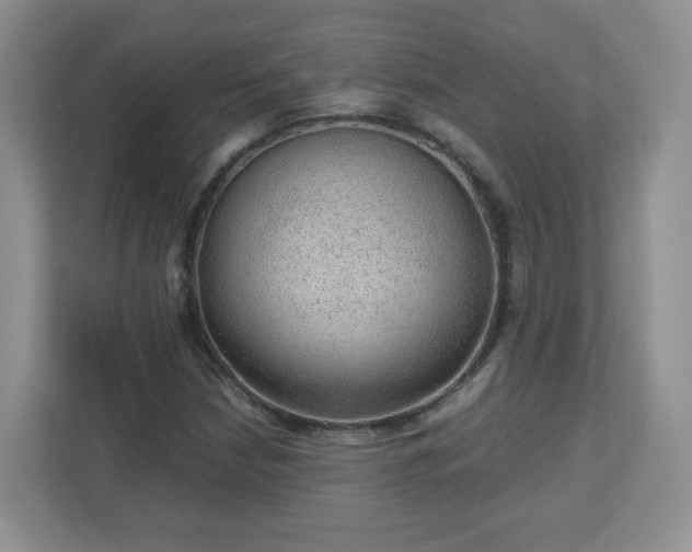 X0000110911210200906251351