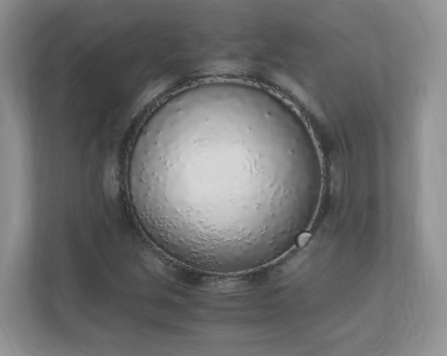 X0000110911213200906251351