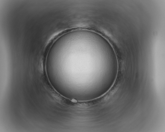 X0000110911214200906251351